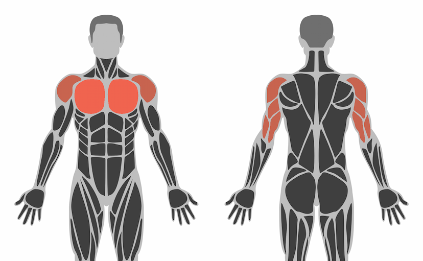 MuscleGroup Image Generator preview